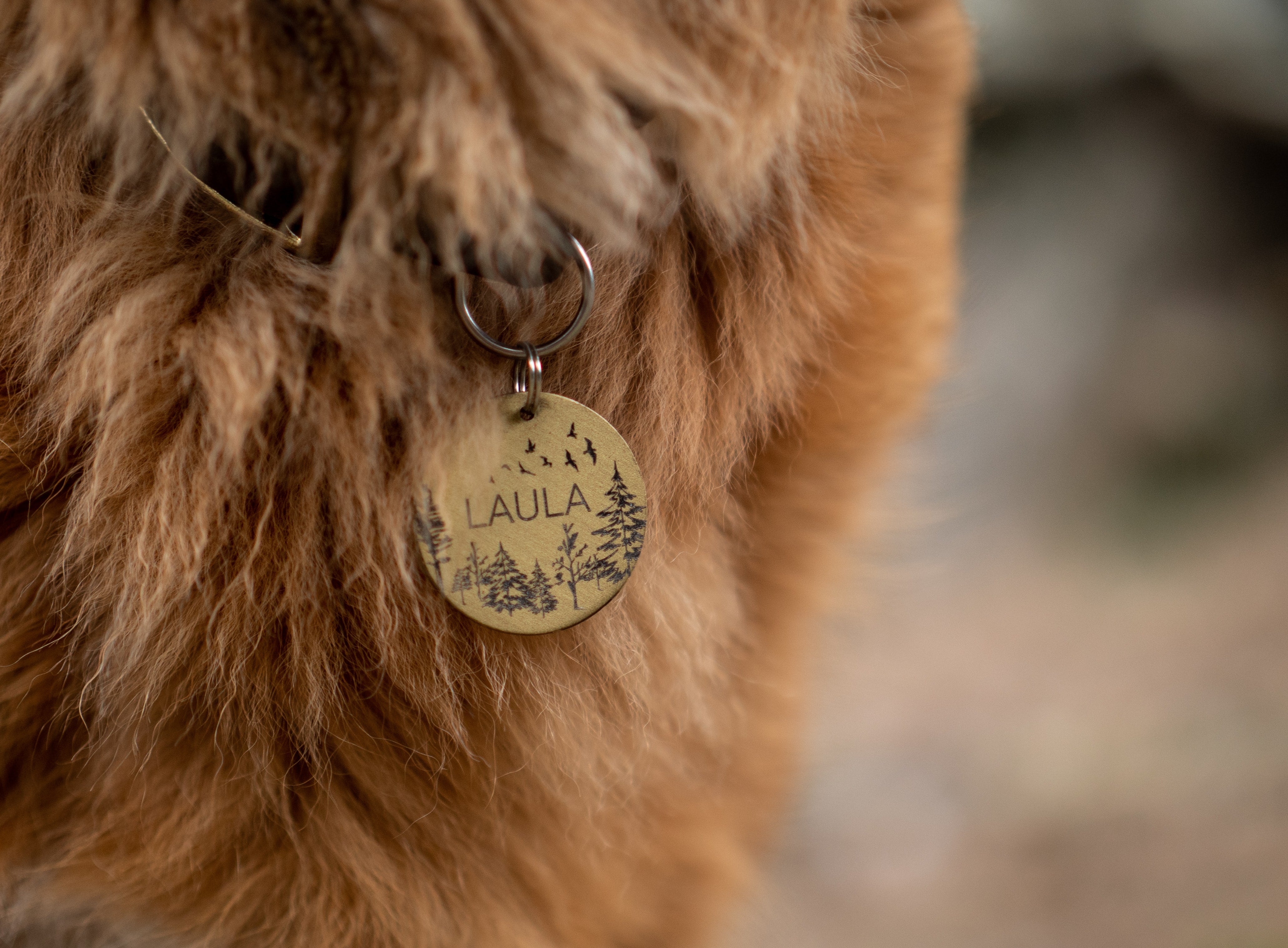 Pet Tags