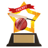 Mini-Star Cricket Acrylic Plaque - AC19643