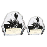 Mystique Fishing Glass Award - CR22244