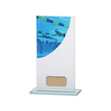 Colour Curve Swimming Jade Glass Award -CR4828