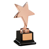 The Challenger Star Bronze Award-NP1782