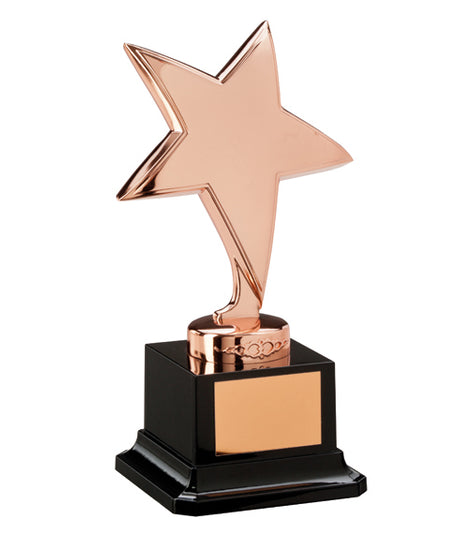 The Challenger Star Bronze Award-NP1782