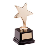 The Challenger Star Gold Award-NP1784