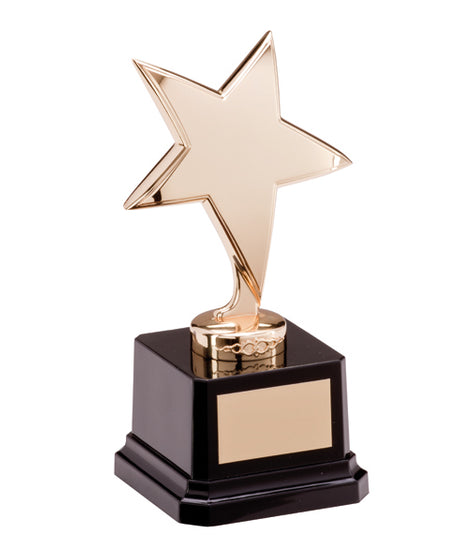 The Challenger Star Gold Award-NP1784