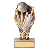 Falcon Cricket Award - PA20030