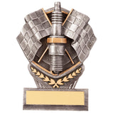 Falcon Motorsport Spark Plug Award - PA20063