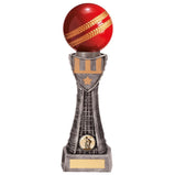 Valiant Cricket Award - PM20238