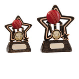 Little Star Cricket Award - RF0265