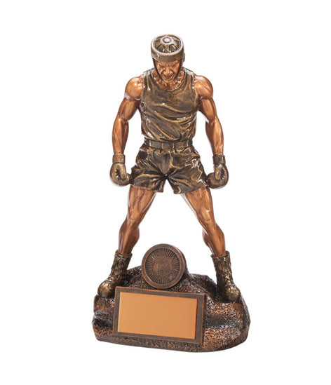 Ultimate Boxing Award - RF17045