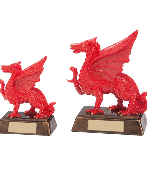 Celtic Dragon Rugby Award - RF17060