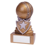 Shield Cricket Mini Award - RF19100