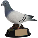 Elite Pigeon Racing Award - RF4157