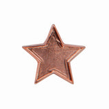 Scholar Pin Badge Star -SB16126