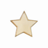 Scholar Pin Badge Star -SB16126