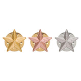 3D Star Pin Badge-SB19000