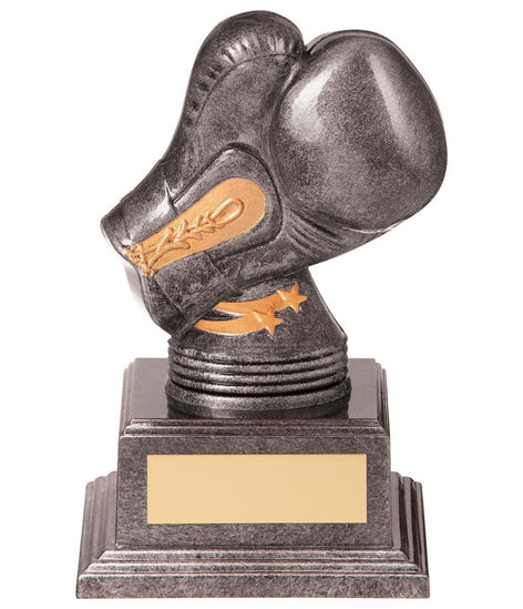 Valiant Legend Boxing Award - TH20239