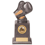 Valiant Legend Boxing Award - TH20239