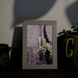 4x6 Grey Photo Frame